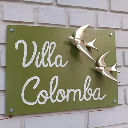 Colomba - Paloma